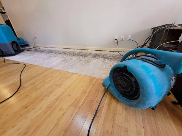 Professional Sewage Cleanup technician working in Hartford, SD